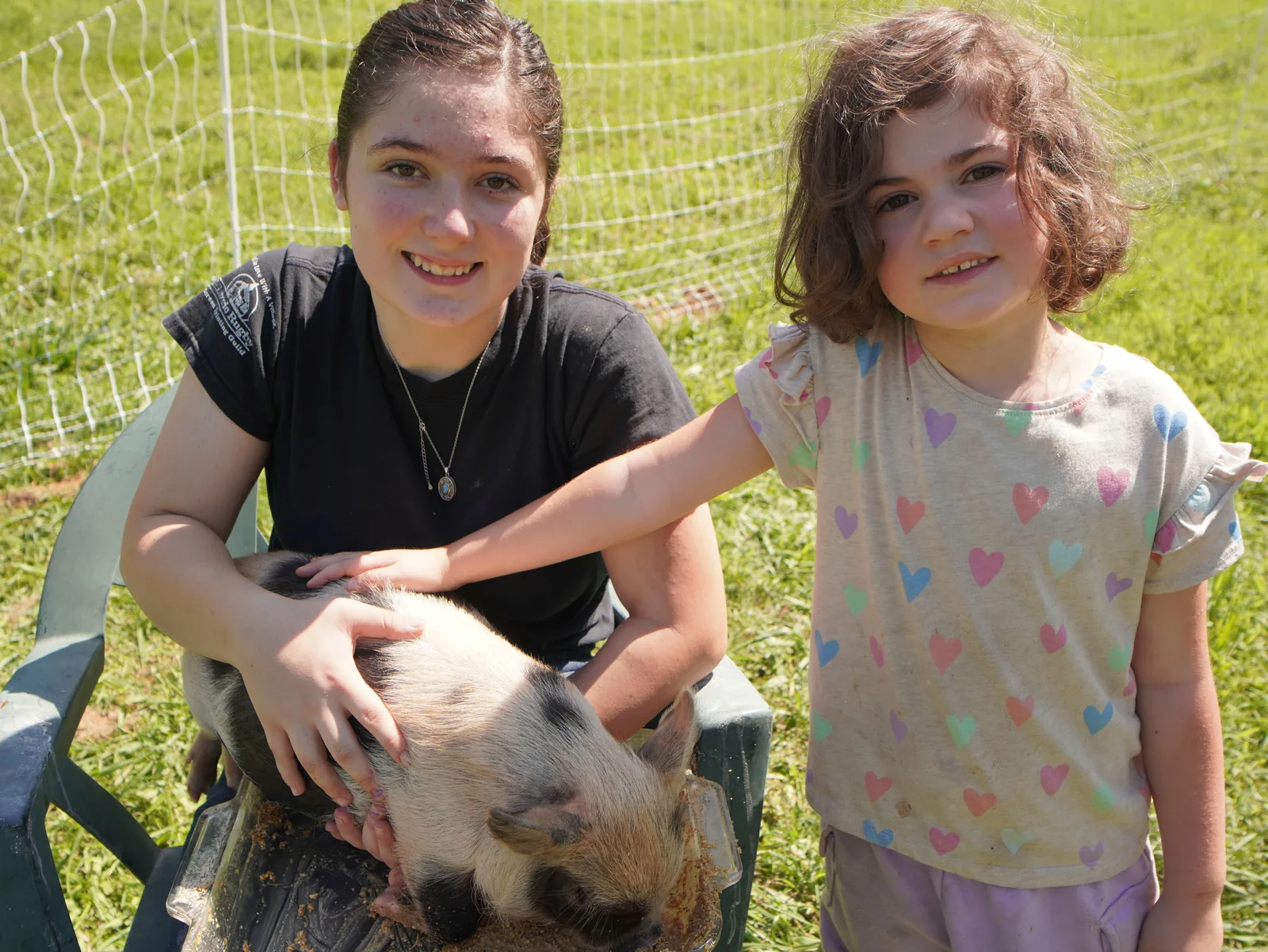 Children meeting Penny the pig at Smoky Mountain Acres